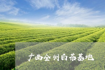 广西全州白茶基地/2023062017271