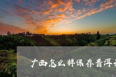 广西怎么样保存普洱茶/2023092989493