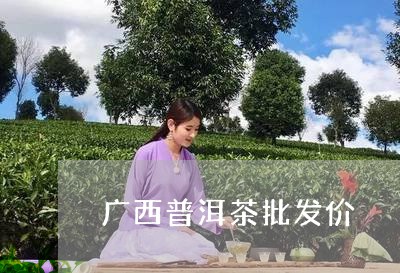 广西普洱茶批发价/2023082907492