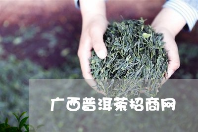 广西普洱茶招商网/2023082982826