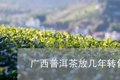 广西普洱茶放几年转化/2023062725172