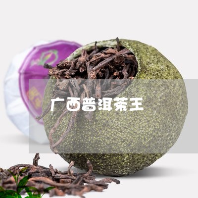 广西普洱茶王/2023042703758