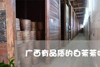 广西有品质的白茶茶叶/2023093095848