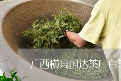 广西横县国达茶厂白茶王/2023102592716