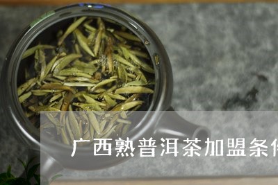 广西熟普洱茶加盟条件是什么/2023110515480