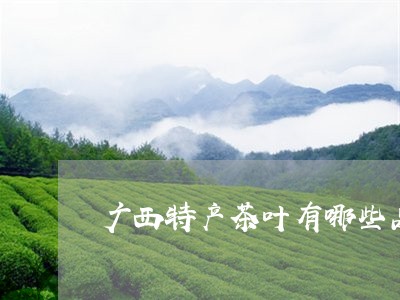 广西特产茶叶有哪些品牌广西什么茶/2023060441684