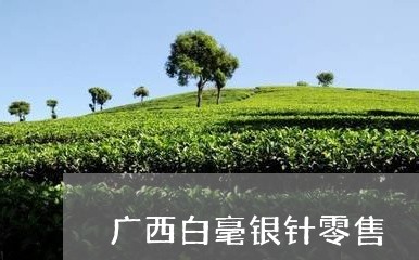 广西白毫银针零售/2023062190503