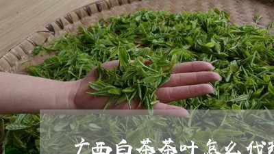 广西白茶茶叶怎么代理/2023093097282