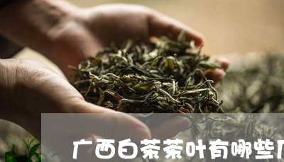 广西白茶茶叶有哪些厂家/2023102594958