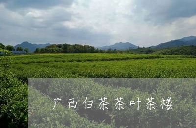 广西白茶茶叶茶楼/2023061967370