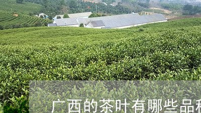 广西的茶叶有哪些品种/2023071625259