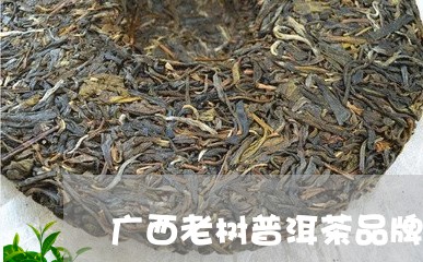 广西老树普洱茶品牌排行/2023081426269