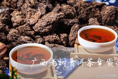 广西老树普洱茶拿货价/2023110536168