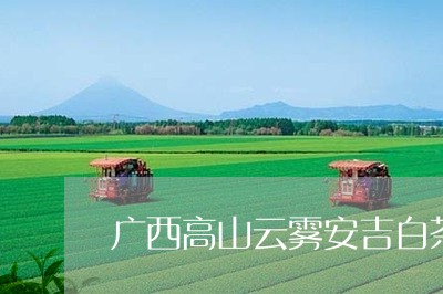 广西高山云雾安吉白茶/2023093083048