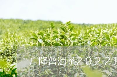 广隆普洱茶2022班章/2023122042694