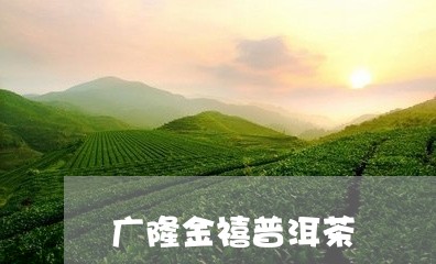 广隆金禧普洱茶/2023120375927