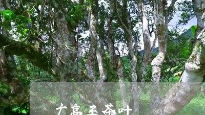 广高王茶叶/2023090241038