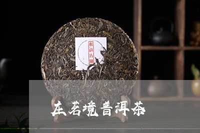 庄茗境普洱茶/2023090679504