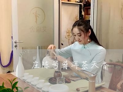 庄陈号普洱茶天香/2023120470614