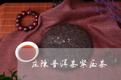 庄陈普洱茶紧压茶/2023120491694