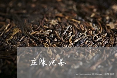 庄陈沱茶/2023110913706