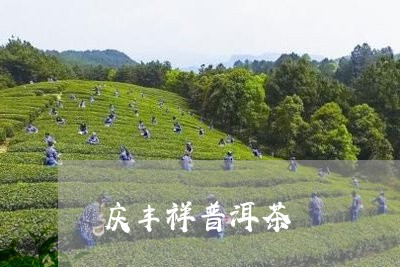 庆丰祥普洱茶/2023042940738