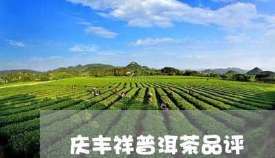 庆丰祥普洱茶品评/2023081665048