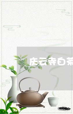 庆云寺白茶花图片/2023061982046