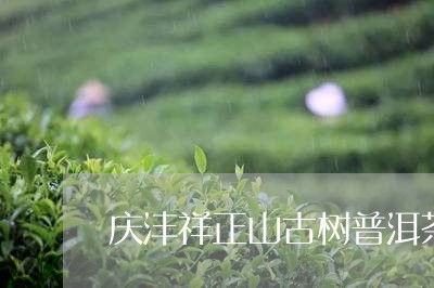 庆沣祥正山古树普洱茶/2023061527170