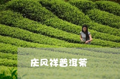 庆风祥普洱茶/2023042508325