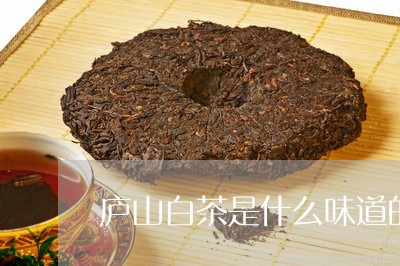 庐山白茶是什么味道的茶/2023102582825