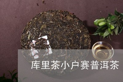 库里茶小户赛普洱茶/2023120598593