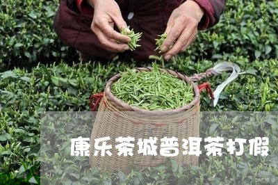 康乐茶城普洱茶打假/2023070937371