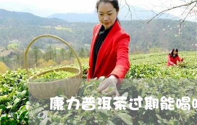 康力普洱茶过期能喝吗/2023092859482