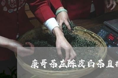 康哥茶庄陈皮白茶直播/2023093089481