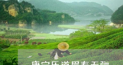 康宁乐道眉寿无疆/2023090816141