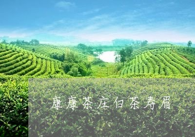 康康茶庄白茶寿眉/2023111780402