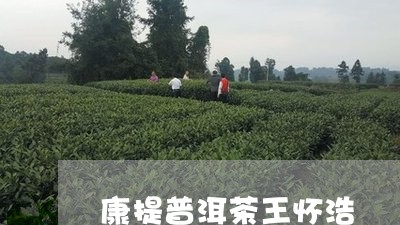 康提普洱茶王怀浩/2023062414927