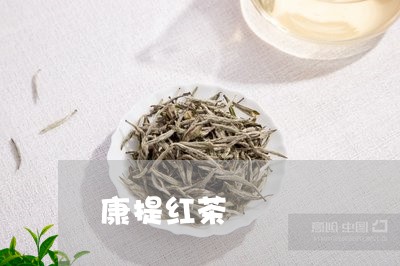 康提红茶/2023090140827