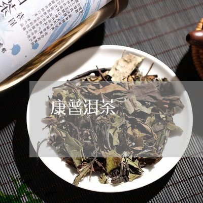 康普洱茶/2023121851492