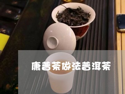 康普茶做法普洱茶/2023121617461