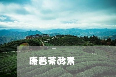 康普茶酵素/2023090284816