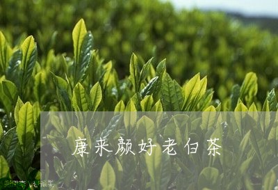 康来颜好老白茶/2023073173068