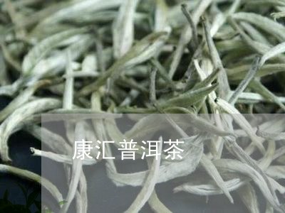 康汇普洱茶/2023112691827