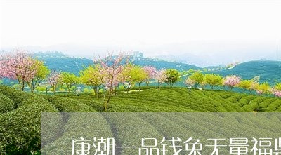 康潮一品钱兔无量福鼎白茶/2023082573828