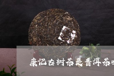 康记古树茶是普洱茶吗/2023062108472