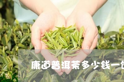 康道普洱茶多少钱一饼/2023072124928