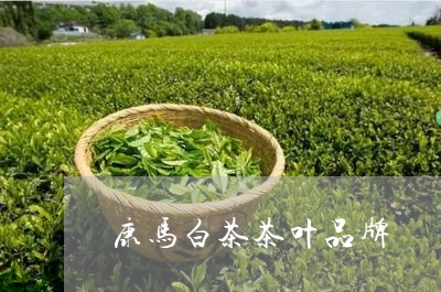 康马白茶茶叶品牌/2023062085026