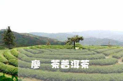 廖褔茶普洱茶/2023042836933