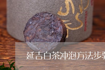 延吉白茶冲泡方法步骤/2023093013148